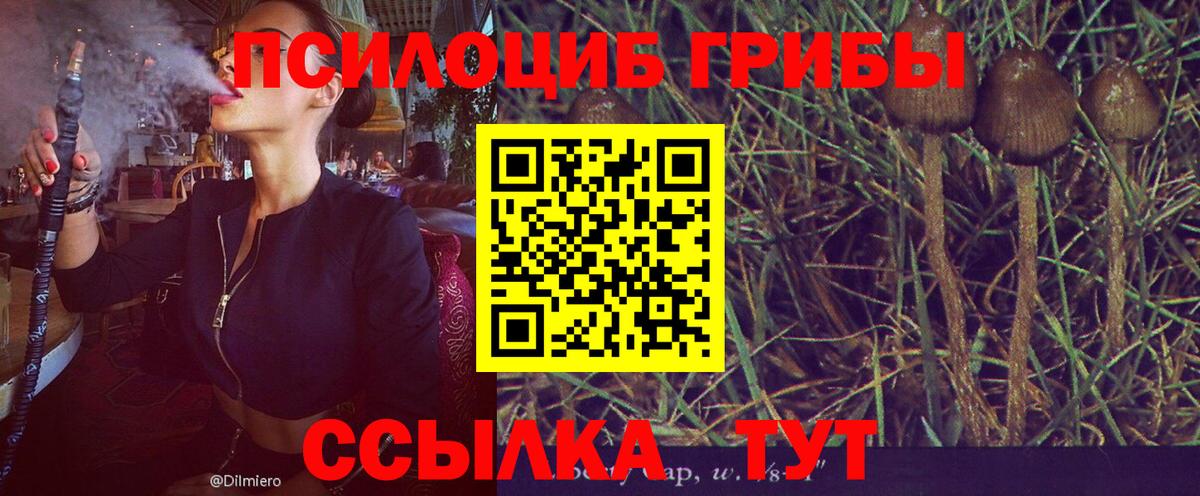 Псилоцибиновые грибы Psilocybe  Галлюциногенные грибы Cubensis  Донской  Вход с VPN 